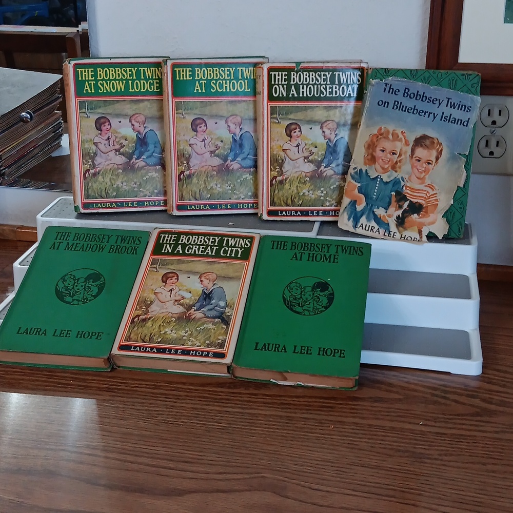 Vintage Bobbsey Twins books